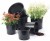 Import Cheap Price Wholesale Plastic Flower Pots from China