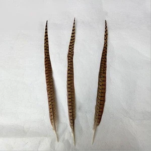china Factory suppliers pheasant feathers for carnival costumes