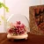 Import China Specialty Small Glass Display Domes Dome With Bases Wood Base from China