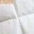 Import China Supplier Ultra Comfort Light Weight Goose Down Quilt Down Blanket from China