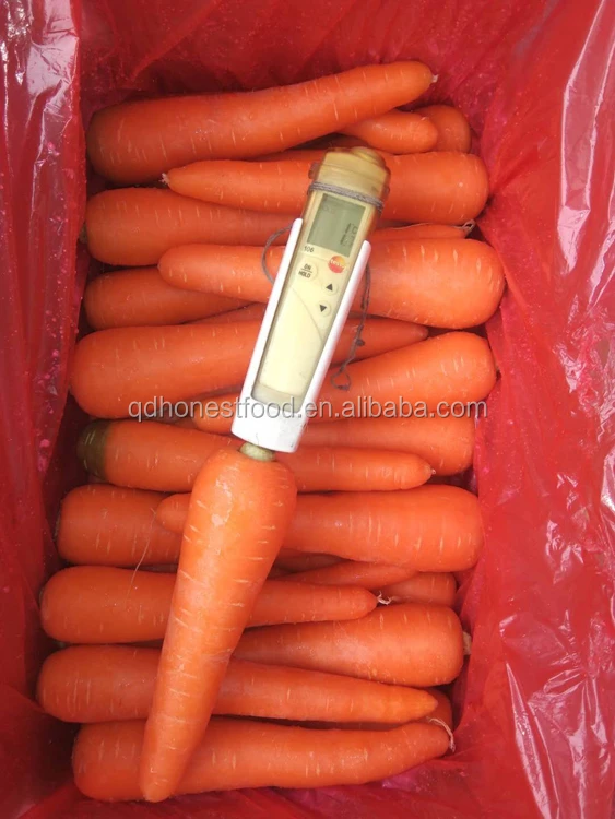 Chinese new crop wholesale fresh and clean delicious carrots