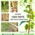 Import COCONUT COIR ROPE USED FOR HOPS AND FARMING BEST SELLER IN DAILOCVINA from China