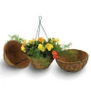 Coir Hanging Basket for Garden