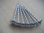 Color Corrugated Roofing Nail