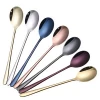 Colored dinner spoon, stainless steel spoon set in cutlery