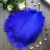 Import colorful ostrich feathers for wedding decoration from China