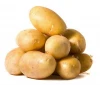 Competitive Organic Potato Starch Price
