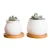 Custom  mini white cheap plant pot bamboo tray small flower pot ceramic succulent pot with saucer