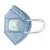 Import custom printed dust mask n95 with ffp1/ffp2 respirator from China