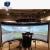 Import Customized 180 Degree Curved Projection Screen Simulation Projector Screen from China
