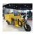 Import Customized Color 3 Wheel Tricycle Electric Road Delivery 48V800W PG Electric Tricycle Truck for Elderly Passenger-cargo Dual Use from China