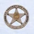 Import Customized design metal logo lapel pins 3D design enamel metal logo awards badges from China