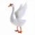 Import Customized Spread Wing Wild Goose Decoy from China