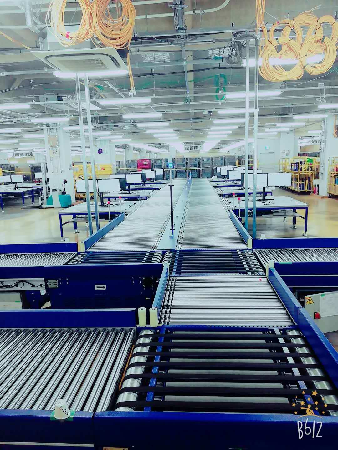 Buy Customs Inspection Sorting Line System Conveyor Equipment Sorting ...