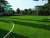 Import Depuy Synthes Speedtrap Synthetic Grass Padel Court Boll Artificial Grass from China