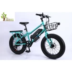 DIKESEN electric bike adult colorful electric bike nice design electric bicycle for  girls