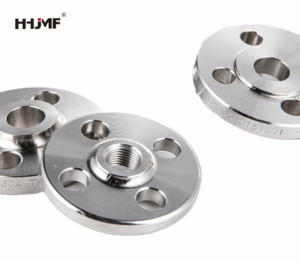 DIN 1.4571 Stainless Steel Pipe Fitting Forged Thread Flange