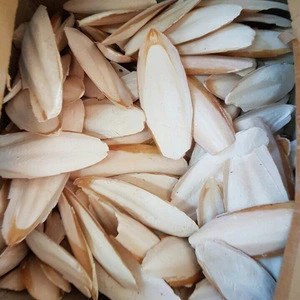 DRIED CUTTLEFISH BONE FROM VIETNAM WITH HIGH QUALITY BEST PRICE