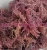 Import Dried eucheuma cottonii seaweed_exporter dried seaweed_high quality from Vietnam