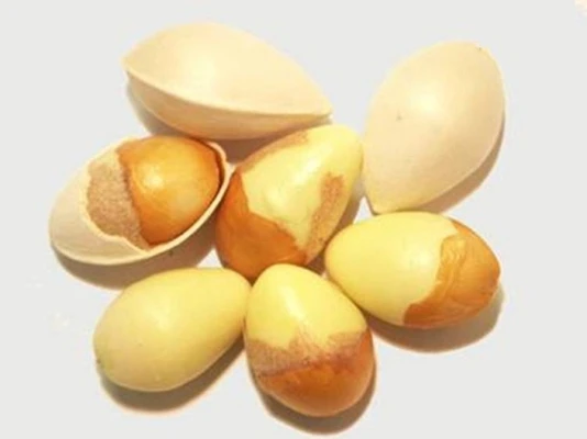 dried Raw Ginkgo Nuts good price Dried Gingko Good Quality