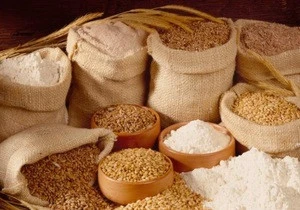 Dried Style Wheat for Bread Making/ Quality Wheat grains for sale