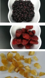 Dry fruit/ preserved mulberry,preserved cranberry