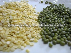 dry green mung bean 3.2-3.6mm (with and without skin)