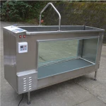 Electric Medical Rehabilitation Underwater Treadmill Machine For Dogs