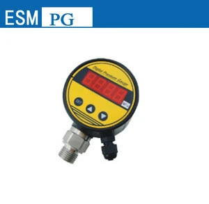 ESMPGB107 Master pressure gauge,Precision Digital Pressure Gauge
