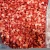 Import Export China Hot Sale Frozen  A Grade Sweet Charlie Strawberry Whole Strawberry frozen from China