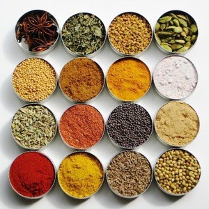 Exporter of Freeze Dried Spices