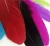 Import Factory direct DIY Harry Potter quill pen ear feathers 10-20cm color goose feathers floating from China