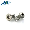 Factory Price Custom Pt Thread Forming Flat head Torx Self Tapping Screws For Plastics