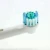 Import Factory Sale Electrical Tooth Brush Adapt To B raun Oral Toothbrush Heads from China