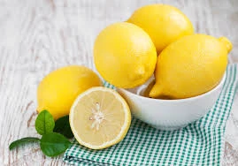 Farm best price citrus fruits fresh lemon wholesale