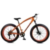 Fashion 26 inch customized gear bike fat cycle tyre fat bike