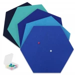 Felt Board Hexagon Type Memo Board Wall Decoration Home Deco (Pastel 5pcs Set)