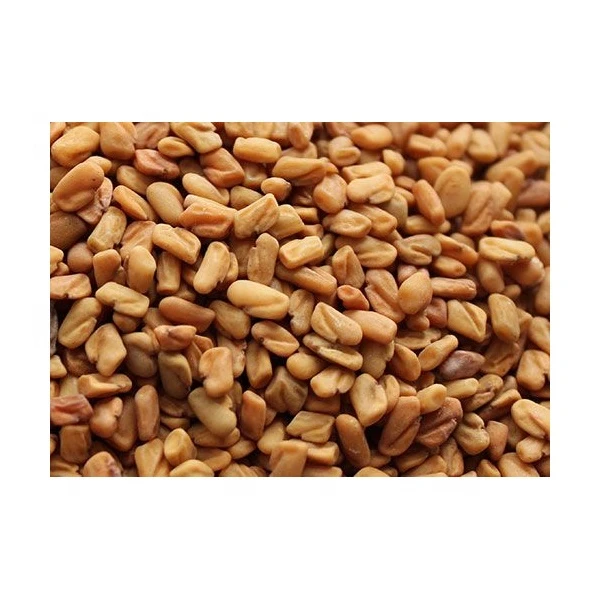 Fenugreek Spices and Herbs