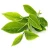 Import Free sample Green tea Extract Polyphenols 20%-98% camellia sinensis Leaf extract powder from China