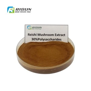free sample pure Wild Reishi Mushroom Extract lingzhi powder Ganoderma Extract for anti-aging herbal extract