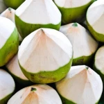 Fresh coconuts, Semi Husk Coconut , Fresh Baby coconuts wholesale cheap price