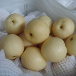 Fresh Golden Pear 2020 Crop