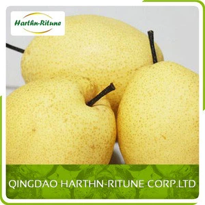 Fresh golden pear class 1 sweet golden pear organic golden pear 1