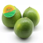 FRESH LEMON/ SEEDLESS LEMON FROM VIET NAM