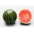 Import Fresh Melons from South Africa