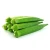 Import Fresh Okra From India from India