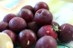 Fresh Plums