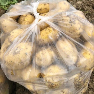 Fresh Potatoes - Variety: Marabel