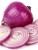 Import Fresh Red Onion from Pakistan ( Naqshbandi Enterprises ) from Pakistan