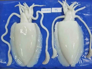 frozen baby cuttlefish whole clean